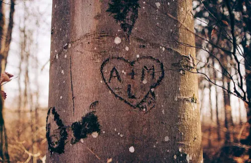 initialen gesneden in een boom